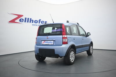 Fiat Panda Gebrauchtwagen Fiat Panda Gebrauchtwagen