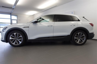 Audi Q8 e-tron Gebrauchtwagen