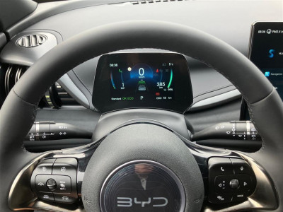 BYD Atto 3 Vorführwagen