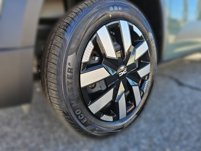 Dacia Spring Vorführwagen