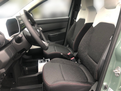 Dacia Spring Vorführwagen