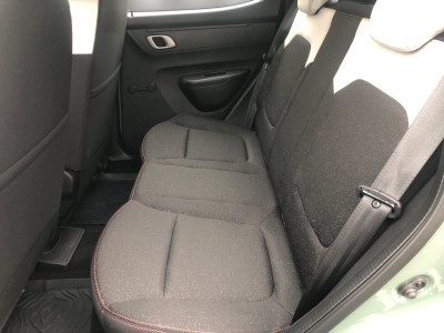 Dacia Spring Vorführwagen