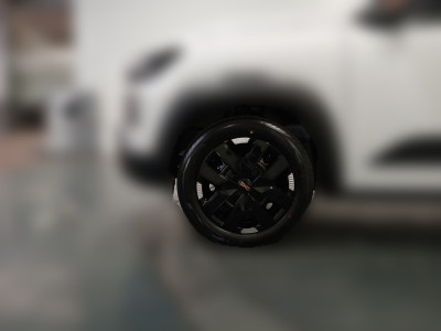 Dacia Spring Vorführwagen