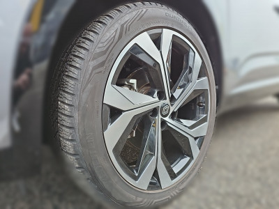 Renault Austral Gebrauchtwagen