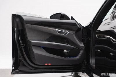 Audi Q8 e-tron Gebrauchtwagen