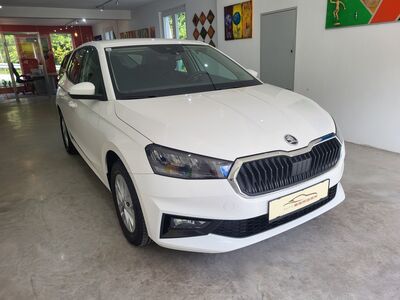 Skoda Fabia Gebrauchtwagen