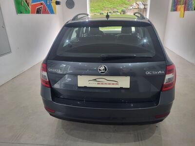 Skoda Octavia Gebrauchtwagen