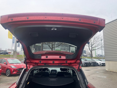 Renault Clio Gebrauchtwagen Renault Clio Gebrauchtwagen