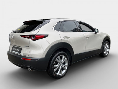 Mazda CX-30 Neuwagen Mazda CX-30 Neuwagen