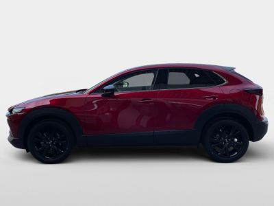Mazda CX-30 Tageszulassung Mazda CX-30 Tageszulassung