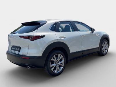 Mazda CX-30 Tageszulassung Mazda CX-30 Tageszulassung