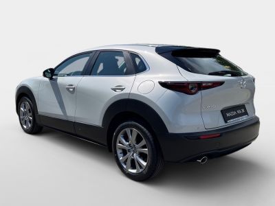 Mazda CX-30 Tageszulassung Mazda CX-30 Tageszulassung