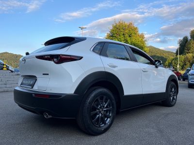 Mazda CX-30 Tageszulassung Mazda CX-30 Tageszulassung