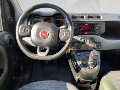 Fiat Panda Gebrauchtwagen