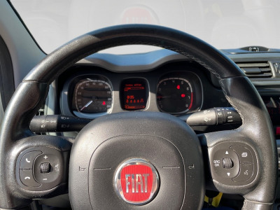 Fiat Panda Gebrauchtwagen