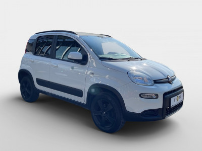 Fiat Panda Gebrauchtwagen