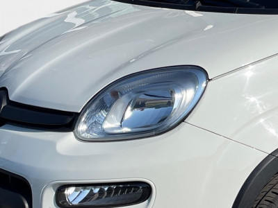 Fiat Panda Gebrauchtwagen