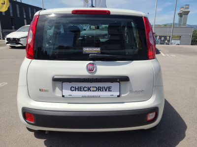 Fiat Panda Gebrauchtwagen Fiat Panda Gebrauchtwagen