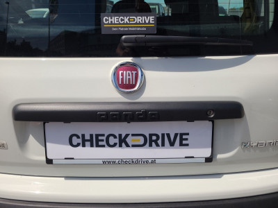 Fiat Panda Gebrauchtwagen Fiat Panda Gebrauchtwagen