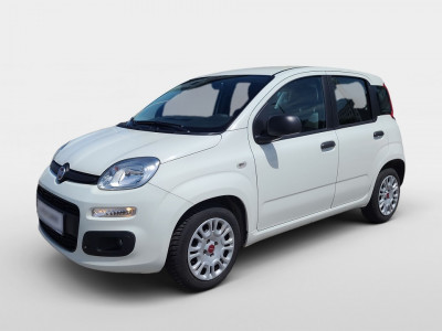 Fiat Panda Gebrauchtwagen Fiat Panda Gebrauchtwagen