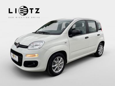 Fiat Panda Gebrauchtwagen Fiat Panda Gebrauchtwagen