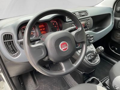 Fiat Panda Gebrauchtwagen