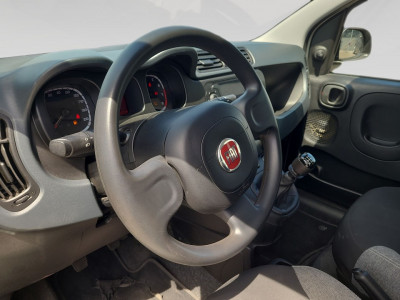 Fiat Panda Gebrauchtwagen Fiat Panda Gebrauchtwagen