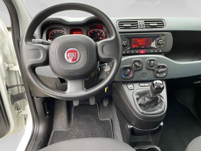 Fiat Panda Gebrauchtwagen