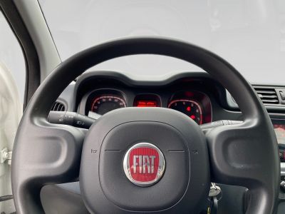 Fiat Panda Gebrauchtwagen