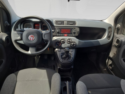Fiat Panda Gebrauchtwagen Fiat Panda Gebrauchtwagen