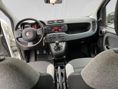 Fiat Panda Gebrauchtwagen