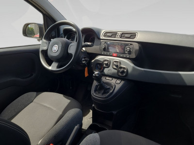 Fiat Panda Gebrauchtwagen Fiat Panda Gebrauchtwagen