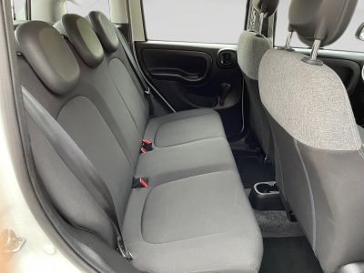 Fiat Panda Gebrauchtwagen