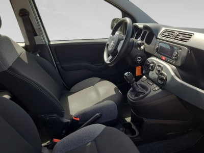 Fiat Panda Gebrauchtwagen Fiat Panda Gebrauchtwagen