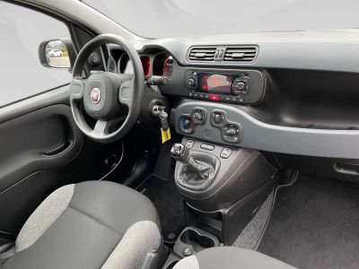Fiat Panda Gebrauchtwagen