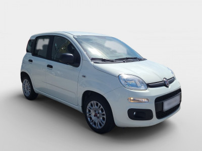 Fiat Panda Gebrauchtwagen Fiat Panda Gebrauchtwagen