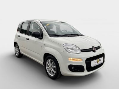 Fiat Panda Gebrauchtwagen