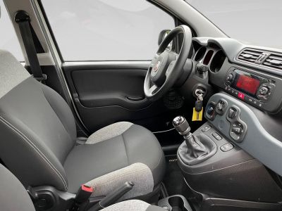 Fiat Panda Gebrauchtwagen