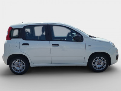 Fiat Panda Gebrauchtwagen Fiat Panda Gebrauchtwagen
