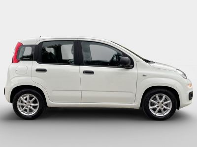 Fiat Panda Gebrauchtwagen