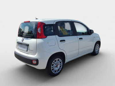 Fiat Panda Gebrauchtwagen Fiat Panda Gebrauchtwagen