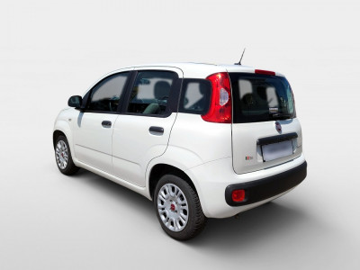Fiat Panda Gebrauchtwagen Fiat Panda Gebrauchtwagen