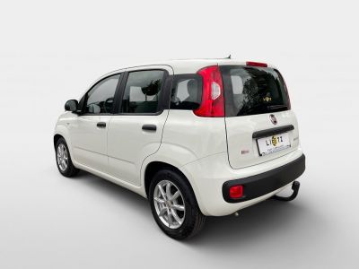 Fiat Panda Gebrauchtwagen