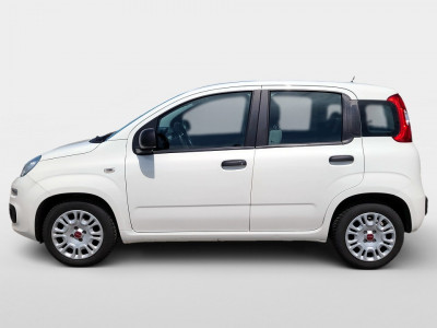 Fiat Panda Gebrauchtwagen Fiat Panda Gebrauchtwagen