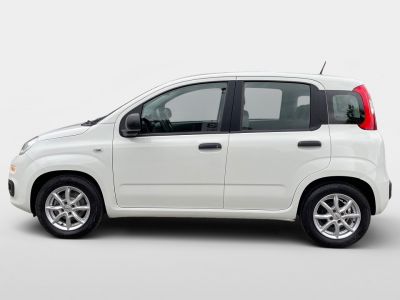 Fiat Panda Gebrauchtwagen