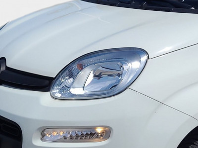 Fiat Panda Gebrauchtwagen Fiat Panda Gebrauchtwagen