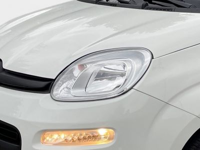 Fiat Panda Gebrauchtwagen