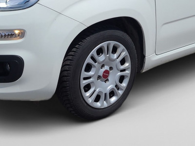 Fiat Panda Gebrauchtwagen Fiat Panda Gebrauchtwagen