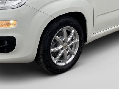 Fiat Panda Gebrauchtwagen