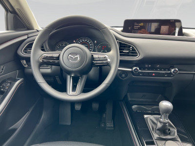 Mazda CX-30 Gebrauchtwagen Mazda CX-30 Gebrauchtwagen